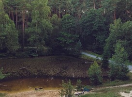 Brand op de Sallandse Heuvelrug, schade beperkt Brand op de Sallandse Heuvelrug, schade beperkt