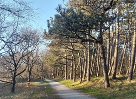 Normal_20220416_193955