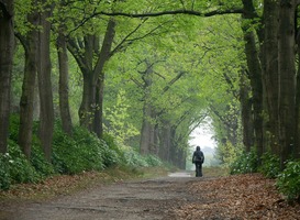 Overijssel is de meest verassende toeristische bestemming dit jaar Overijssel is de meest verassende toeristische bestemming dit jaar