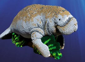 Normal_ocean-bricks-manatee
