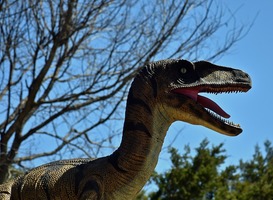 Skelet van dinosauriër Jurassic Park voor 12,4 miljoen geveild Skelet van dinosauriër Jurassic Park voor 12,4 miljoen geveild