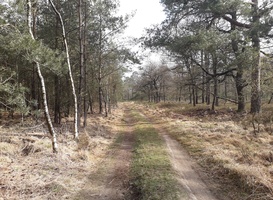 Normal_annemarie_van_olst