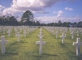 Landelijke Veteranendag eert duizenden Nederlandse ex-militairen Landelijke Veteranendag eert duizenden Nederlandse ex-militairen