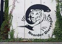 Normal_4172