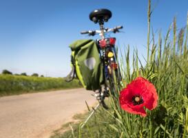 Zeeland beste fietsprovincie in Nederland, Randstad scoort slecht Zeeland beste fietsprovincie in Nederland, Randstad scoort slecht