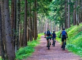 Je gewone fiets omtoveren tot een e-bike? Je gewone fiets omtoveren tot een e-bike?
