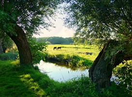 Natuurorganisaties bieden toekomstperspectief voor agrarische ondernemers Natuurorganisaties bieden toekomstperspectief voor agrarische ondernemers