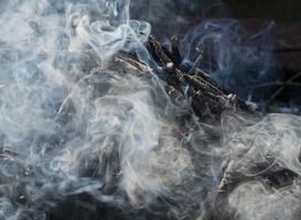 Boom van 262 jaar oud in brand gestoken door tieners Boom van 262 jaar oud in brand gestoken door tieners