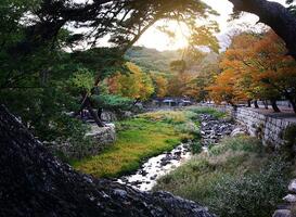 Ontdek het traditionele verleden van Zuid-Korea Ontdek het traditionele verleden van Zuid-Korea