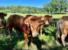 Streekproductenroute langs natuur en historie in Twente Streekproductenroute langs natuur en historie in Twente