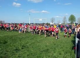 Normal_jog-1547267_960_720