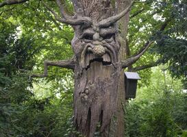 Efteling-fans bevechten elkaar in de rij voor merchandise Spookslotattractie Efteling-fans bevechten elkaar in de rij voor merchandise Spookslotattractie