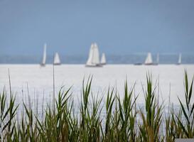 Gronings bedrijf nieuwe speler in waterrecreatie en e-commerce Gronings bedrijf nieuwe speler in waterrecreatie en e-commerce