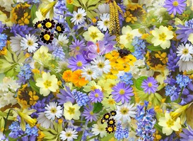 Bloemoptocht Eelde met feestelijke optredens van o.a. Jeroen van der Boom Bloemoptocht Eelde met feestelijke optredens van o.a. Jeroen van der Boom