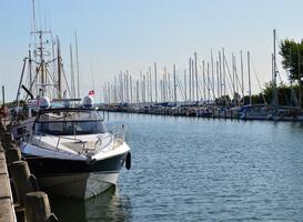 Watersport wordt steeds populairder op de Hiswa te Water beurs Watersport wordt steeds populairder op de Hiswa te Water beurs