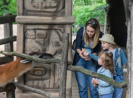 Normal_family-on-a-walk-in-the-zoo-2022-08-01-05-15-12-utc
