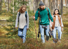 In het najaar nieuwe padenstructuur in het Harderbos In het najaar nieuwe padenstructuur in het Harderbos