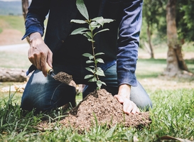 N246 bij Buitenhuizen krijgt natuurimpuls van Rijkswaterstaat N246 bij Buitenhuizen krijgt natuurimpuls van Rijkswaterstaat