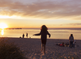 'Groene Strand Wimpel' uitgereikt aan acht Nederlandse stranden 'Groene Strand Wimpel' uitgereikt aan acht Nederlandse stranden