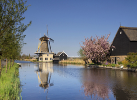 Vakantiepark Molenwaard sleept nominatie Entree Awards in de wacht Vakantiepark Molenwaard sleept nominatie Entree Awards in de wacht