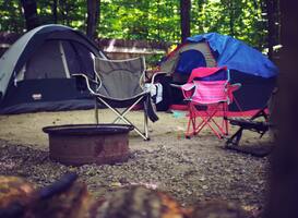 Natuurcamping in de Hoge Veluwe sluit ondanks handtekeningenactie Natuurcamping in de Hoge Veluwe sluit ondanks handtekeningenactie