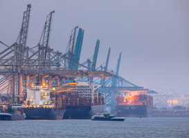 Natuurorganisaties spannen rechtszaak aan tegen overheid wegens Tweede Maasvlakte Natuurorganisaties spannen rechtszaak aan tegen overheid wegens Tweede Maasvlakte