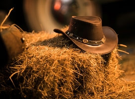 Normal_cowboy-hat-western-wear-2021-08-26-23-04-40-utc