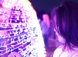 Walibi Holland werkt aan lichtfestival 'Bright Nights' in de winter Walibi Holland werkt aan lichtfestival 'Bright Nights' in de winter