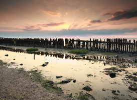 Waddenorganisaties presenteren rapport 'Wadden In Beeld 2021' Waddenorganisaties presenteren rapport 'Wadden In Beeld 2021'