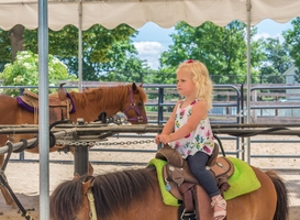 Geen pony's meer op Tilburgse kermis vanaf 2023 Geen pony's meer op Tilburgse kermis vanaf 2023