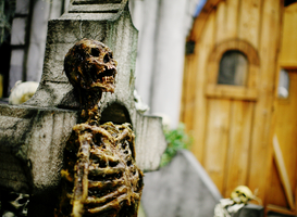 Kaartjes attracties Walibi Fright Nights in park zelf duurder dan online Kaartjes attracties Walibi Fright Nights in park zelf duurder dan online