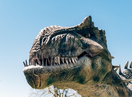 Dinobos in DierenPark Amersfoort vernieuwd, opening komend weekend Dinobos in DierenPark Amersfoort vernieuwd, opening komend weekend