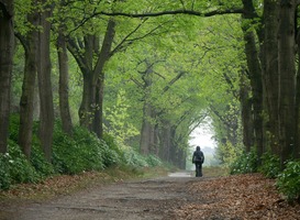 Natuur voor Elkaar trekt met de Groene Karavaan door Overijssel Natuur voor Elkaar trekt met de Groene Karavaan door Overijssel