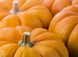 Sprookjesbos Valkenburg geeft pompoenen van Halloween decoratie weg Sprookjesbos Valkenburg geeft pompoenen van Halloween decoratie weg