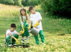 Staatsbosbeheer organiseert 16 november 65e editie Nationale Boomfeestdag Staatsbosbeheer organiseert 16 november 65e editie Nationale Boomfeestdag