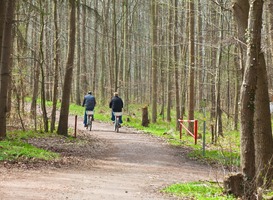 Normal_bicycle-riding-2022-05-17-05-58-07-utc-min__1_