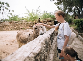 Dierentuin Burgers' Zoo weer bijna op bezoekerspeil van voor pandemie Dierentuin Burgers' Zoo weer bijna op bezoekerspeil van voor pandemie
