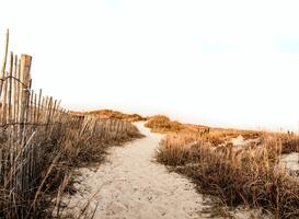 Normal_erda-estremera-asfzkezihpc-unsplash