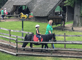 Pretpark Drouwenerzand stopt met aanbieden ponyrijden als attractie Pretpark Drouwenerzand stopt met aanbieden ponyrijden als attractie