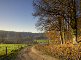 Natuurmonumenten gaat samenwerken met IT-bedrijf ARP Natuurmonumenten gaat samenwerken met IT-bedrijf ARP