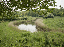 Natuurmonumenten vraagt aandacht voor achteruitgang natuur met speciale wandelroute Natuurmonumenten vraagt aandacht voor achteruitgang natuur met speciale wandelroute