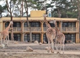 Safari Hotel Beekse Bergen officieel geopend tijdens feestelijke ceremonie Safari Hotel Beekse Bergen officieel geopend tijdens feestelijke ceremonie