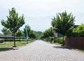 Vakantiepark Résidence Valkenburg opent kampeerterrein Vakantiepark Résidence Valkenburg opent kampeerterrein