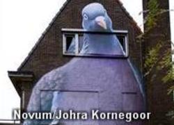Normal_6667