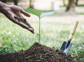 Camperclub NKC plant 125 bomen ter compensatie van CO2-uitstoot Camperclub NKC plant 125 bomen ter compensatie van CO2-uitstoot