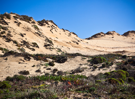 Normal_dunes-at-the-ocean-beach-in-portugal-2021-09-23-22-57-32-utc