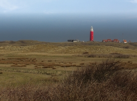 Normal_texel-lighthouse-2022-11-01-02-10-08-utc