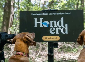 Normal_hondlowresdsc0148840716