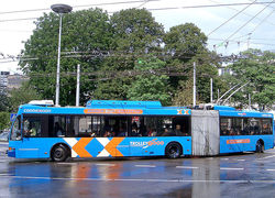 Normal_4431