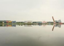 Normal_608